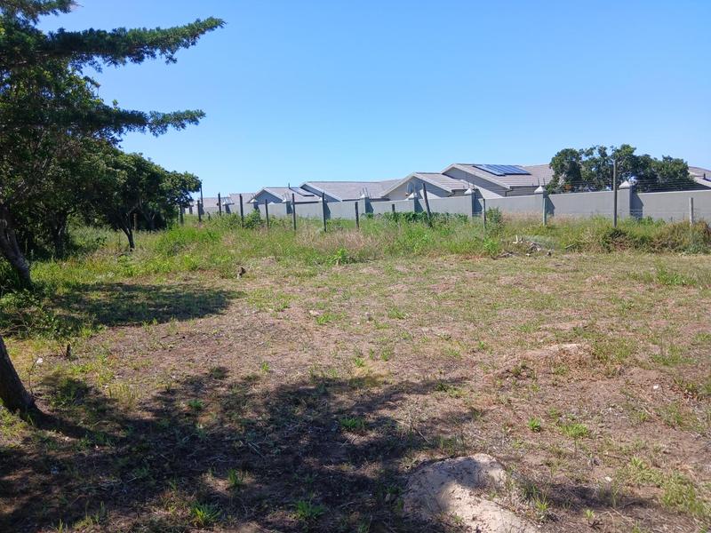 0 Bedroom Property for Sale in Tergniet Western Cape